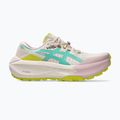 Кросівки для бігу жіночі ASICS Trabuco Max 5 mineral beige/aurora green