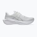 Кросівки для бігу чоловічі ASICS Novablast 6 white/white 2