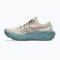 Чоловічі бігові кросівки ASICS Gt-2000 15 TR simply taupe/foggy teal 10