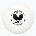 М'ячі для настольного тенісу Butterfly 120 szt. white