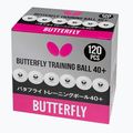 М'ячі для настольного тенісу Butterfly 120 szt. white 2