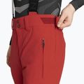 Штани гірськолижні чоловічі Descente Swiss electric red 4