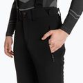 Штани гірськолижні чоловічі Descente Swiss Regular black 3