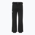 Штани гірськолижні чоловічі Descente Swiss Slim black