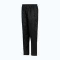 Чоловічі трекінгові штани REGATTA Pack It Overtrousers black 9