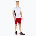 Футболка матчева чоловіча Mizuno Premium High-Kyu біла V2EA700271 2
