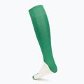 Шкарпетки Mizuno Trad green 2