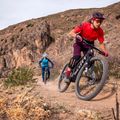 Чоловічий лонгслів для атлантичного велоспорту Endura Singletrack 8