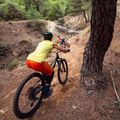 Жіночі велошорти Endura Singletrack Lite Short Sht harvest 4