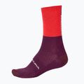 Шкарпетки велосипедні Endura Baa Baa Merino Winter pomegranate