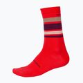 Шкарпетки велосипедні Endura BaaBaa Merino Stripe pomegranate