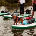 SUP дошка Red Paddle Co Voyager 12'6" зелена 17623 13