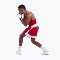 Шорти для тренувань чоловічі Boxraw Stevenson V2 red/white 3
