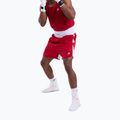 Шорти для тренувань чоловічі Boxraw Stevenson V2 red/white 4