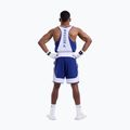 Шорти для тренувань чоловічі Boxraw Stevenson V2 blue/white 3