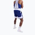 Шорти для тренувань чоловічі Boxraw Stevenson V2 blue/white 6