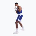 Шорти для тренувань чоловічі Boxraw Stevenson V2 blue/white 8
