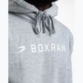 Кофта чоловіча Boxraw A.B.C. Hoodie grey 8