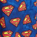 Шорти для плавання дитячі Zoggs Superman blue 2