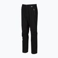 Чоловічі трекінгові штани REGATTA Highton Stretch black 5
