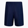 Шорти для плавання чоловічі Nike Essential 7" Volley сині NESSA559-440 2