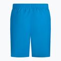 Шорти для плавання чоловічі Nike Essential 5" Volley блакитні NESSA560-406 2