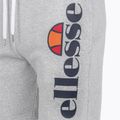 Чоловічі шорти Ellesse Bossini сірий мергель 7