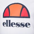 Чоловіча футболка Ellesse Dyne 3