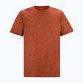 Футболка трекінгова чоловіча REGATTA Fingal Edition rusty orange 5