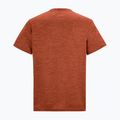 Футболка трекінгова чоловіча REGATTA Fingal Edition rusty orange 6
