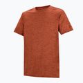 Футболка трекінгова чоловіча REGATTA Fingal Edition rusty orange 7