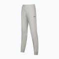 Штани жіночі Mizuno Sweat heather grey