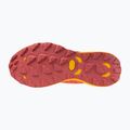 Жіночі бігові кросівки Mizuno Wave Daichi 8 GTX настурція/цитрус/журавлина 6