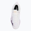 Кросівки для волейболу жіночі Mizuno Wave Dimension Mid white/patrician purple/quince 5