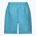 Шорти для плавання дитячі Nike Essential 4" Volley блакитний NESSB866-447 2