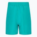 Шорти для плавання дитячі Nike Essential 4" Volley зелені NESSB866-339 2