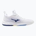 Волейбольне взуття Mizuno Wave Luminous 3 біле/bellwether синє/belairblu 9