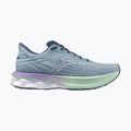 Кросівки для бігу жіночі Mizuno Wave Skyrise 6 citadel/white/bay 8