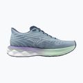 Кросівки для бігу жіночі Mizuno Wave Skyrise 6 citadel/white/bay 9