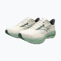 Кросівки для бігу чоловічі Mizuno Wave Rider 29 white/bistro green/creme de me 9