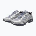 Кросівки чоловічі Mizuno MXR silver/silver/nimbus cloud 13
