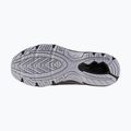 Кросівки чоловічі Mizuno Mxr silver/silver/nimbus cloud 14