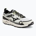 Кросівки Mizuno Wave Daichi LS gf white/black/daiquiri green