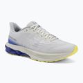 Кросівки для бігу чоловічі Mizuno Wave Skyrise 7 dawn blue/white/dazzling blue