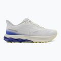 Кросівки для бігу чоловічі Mizuno Wave Skyrise 7 dawn blue/white/dazzling blue 2