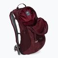 Рюкзак туристичний Lowe Alpine AirZone Active 18 l бордовий FTF-19-DEH-18 4