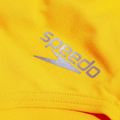 Жіночий купальник Speedo Solid Vback 2