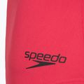 Купальник суцільний жіночий Speedo Flex Band with Swim Bra raspbery fill/vermilion/punch 9