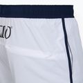 Чоловічі плавальні шорти Speedo Jetstream Retro Logo Volley 16" білі 4