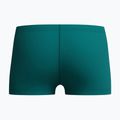Дитячі плавальні боксерки Speedo Medley Logo Aquashort deep emerald/alfalfa green 2
